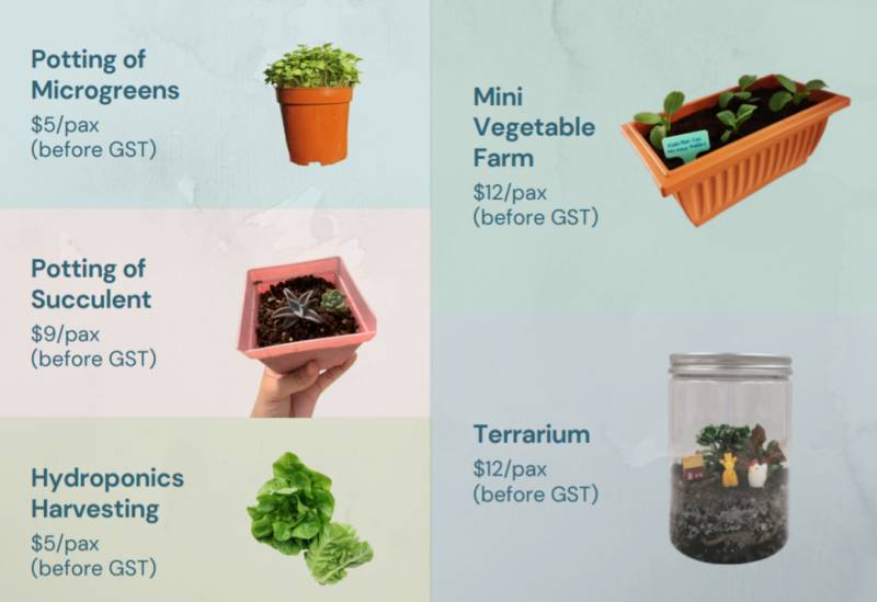 種水稻，摘蘑菇，新鮮蘆荟飲品！藏在新加坡的7大蔬菜農場我找到啦