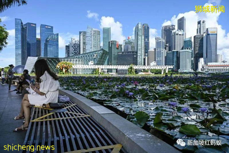 新加坡財長：最低企業稅率，不能由七個富國說了算