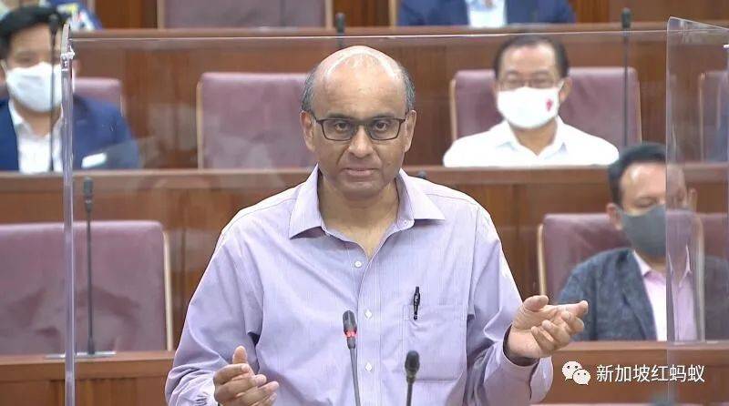 國會外的“忍者神龜”，新加坡執政黨看不見的辯論對手