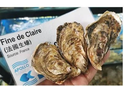 探访新加坡最大活海鲜市场 | 本月疯狂优惠
