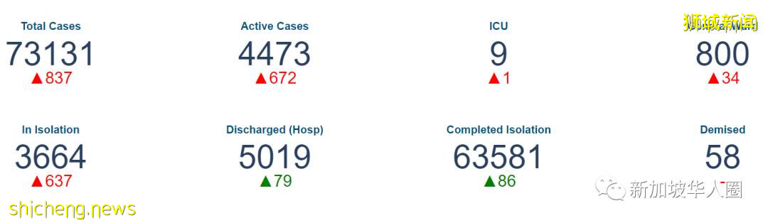 新加坡今日暴增807病例