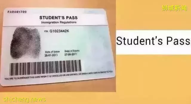 新加坡法律有多严格?学生和工作准证持有者注意!碰到这些情况,在新加坡会被遣返