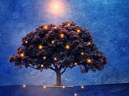 李光耀，值得崇拜难以模仿