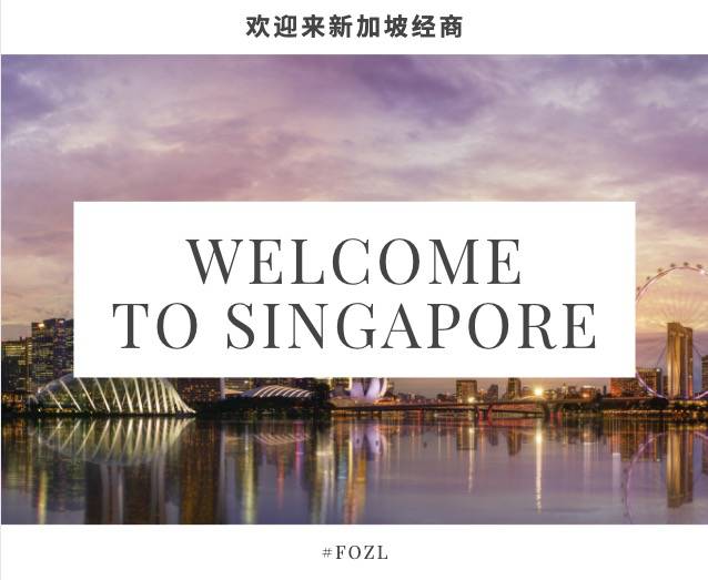 很多企業來新加坡設立子公司，爲什麽呢