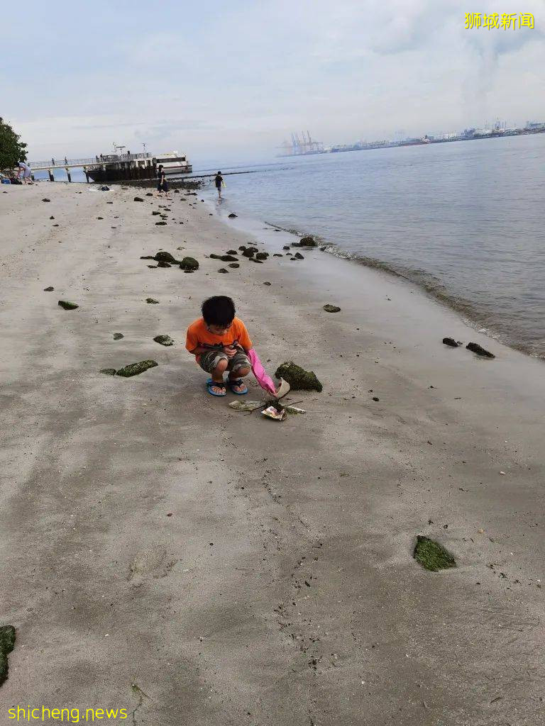 “我的两个儿子,就爱在新加坡捡垃圾!”