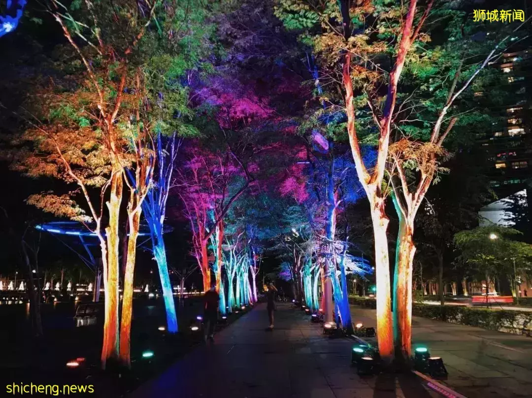 漫天星河洒落人间,新加坡滨海湾超美跨年灯展