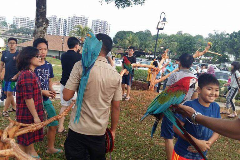 撈魚、釣蝦、蹦床、開挖機、燒烤...這家24小時新加坡農場，太好玩了吧