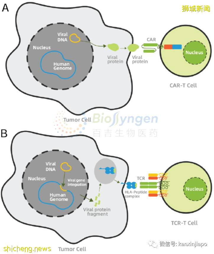 這家新加坡前沿生物企業在華獲5個億投資,打造兩國合作典範