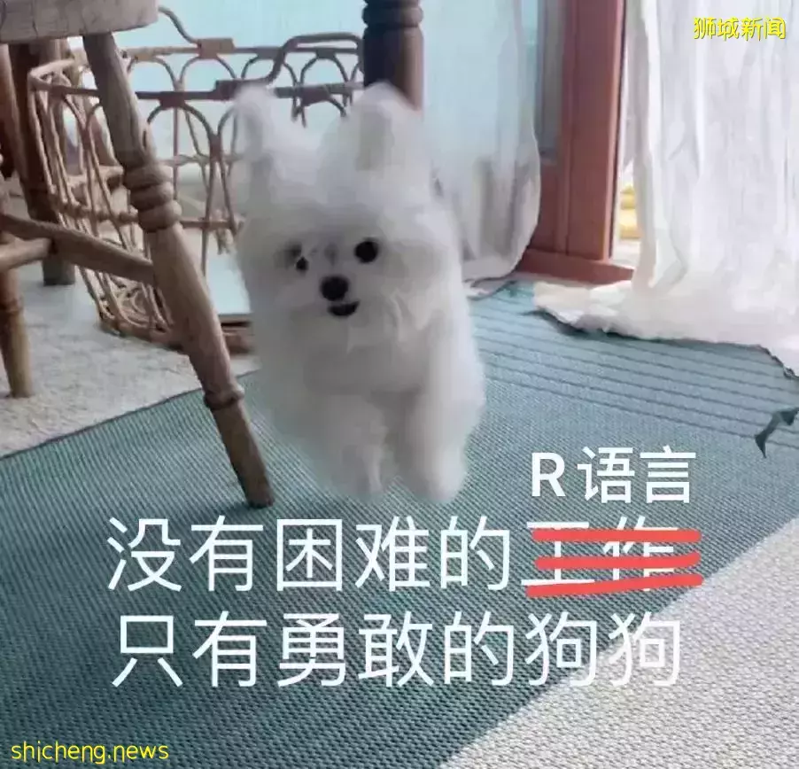 NUS商学院就读体验!直系学姐亲身告诉你