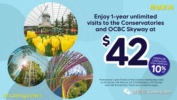 【下周活動】兩人豪華自助餐半價！​匡威4折、阿迪達斯5折