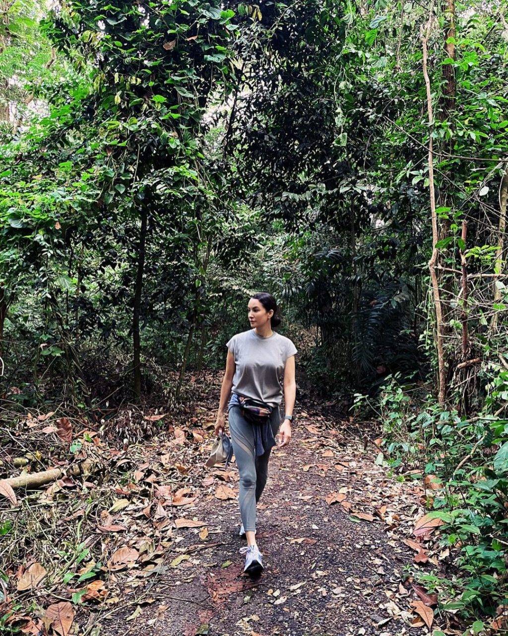 徒步吸氧去🍃Windsor Nature Park濕地公園，隱秘寶藏仙境✨ 3段徒步路徑、淡水溪流、沼澤棲息地