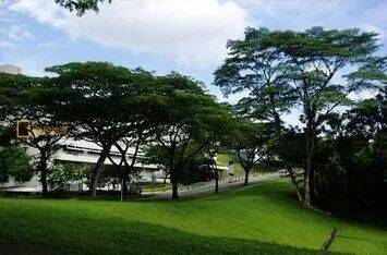 新加坡留学 入境无需隔离！新加坡留学利好消息不断