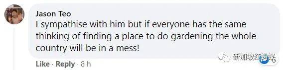 獅城“陶淵明”花10年悄悄在叢林裏開拓“世外桃源”　一朝被徒步者舉報，被令撤離