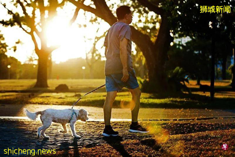 助改善睡眠增強免疫力,曬太陽也能養生