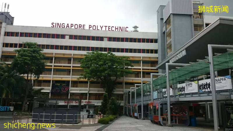 新加坡高等教育有幾種選擇？公立/私立大學、理工/藝術學院!