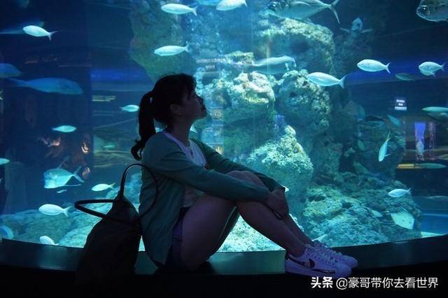 新加坡不枉此行的10大看點（中）分三集介紹