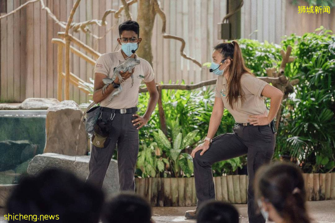 僅2天！新加坡動物園最牛的餵動物之旅，8折！還有幻光雨林和4大園5.5折起，搶啦