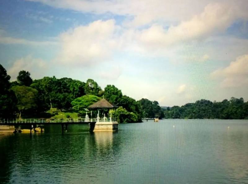 新加坡最好玩的公园,来和小伙伴徒步野餐吧