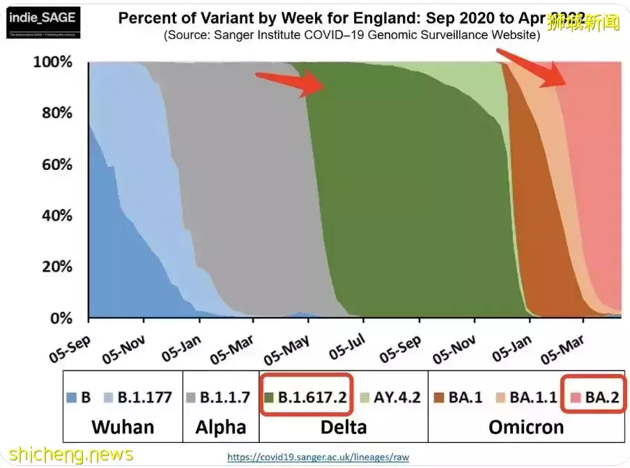 傳播最快的新冠變種出現了!新加坡還會收緊嗎?有專家預測疫情8月結束