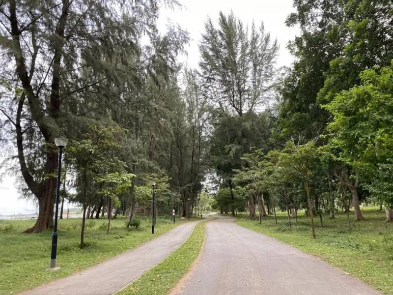 賣油條“續命”,老板直播cos,這是要集體轉行