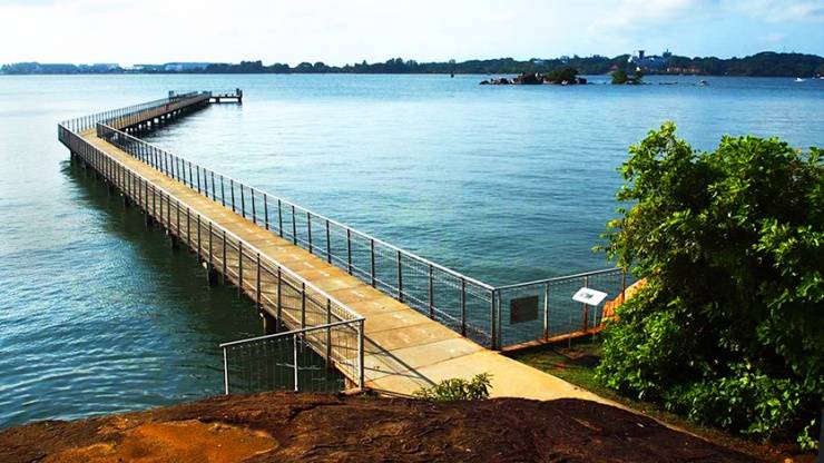 親近大自然，好玩又免費！盤點新加坡9處沼澤紅樹林 · 珍稀野生鳥類 + 特有品種植物 + 漫步木質走道 · 簡直就是大自然愛好者必打卡的聖地