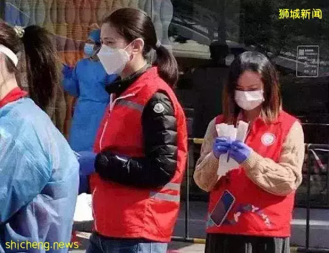 全網熱議！吳尊送娃去中國上學，張柏芝離開坡回上海定居！新加坡不香了