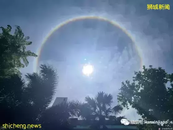 祥兆!四马路观音堂出现“飞龙在天”奇观,显灵了