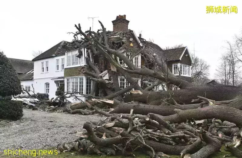 新航飞机降落时险出事!剧烈抖动差点冲出跑道!新加坡曾发生这些空难