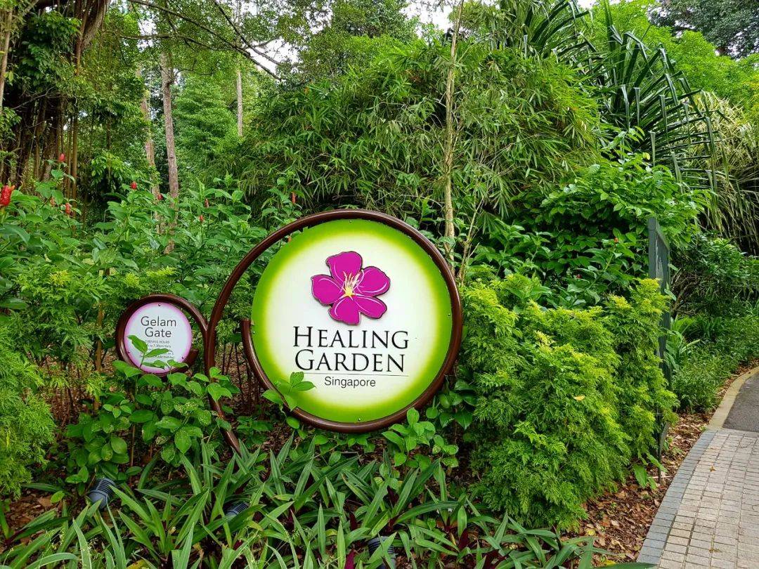 新加坡植物園3月最新兒童樂園，你肯定沒去過！16大遊玩攻略，走起
