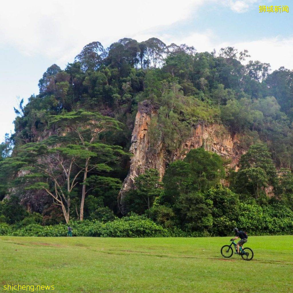 免費不用錢😍新加坡礦湖打卡✨風景如畫、美如仙境，到戶外走一圈後神清氣爽