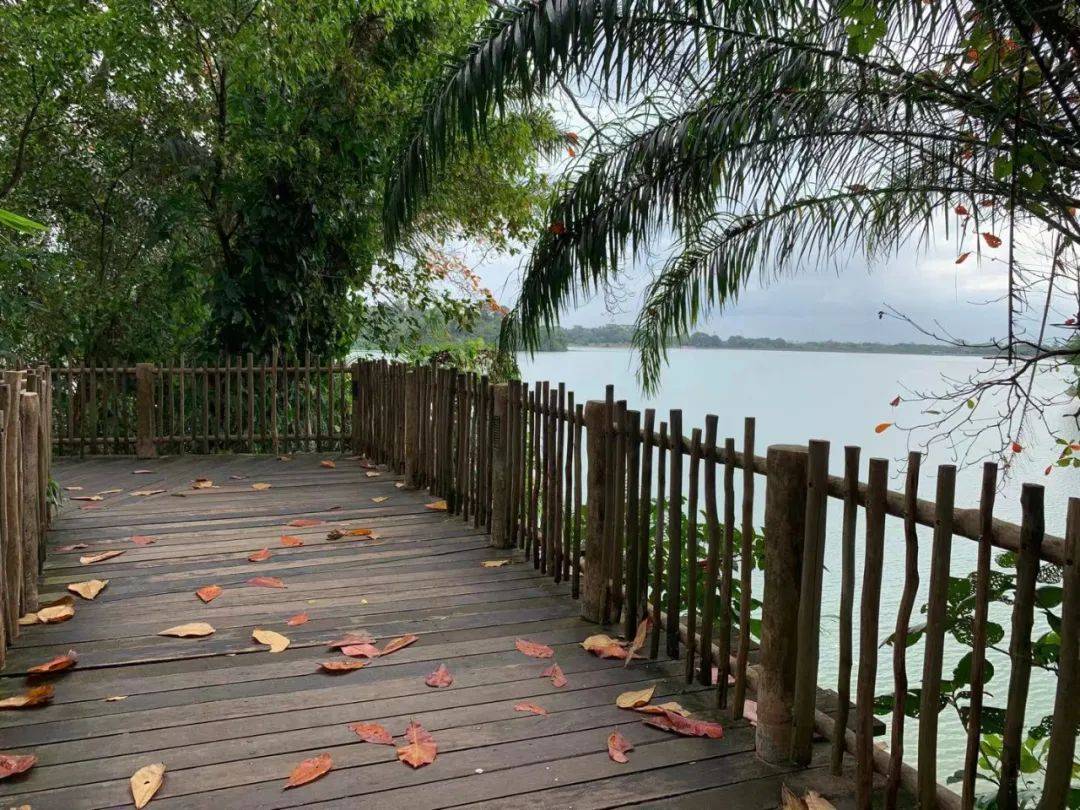 行走獅城——新加坡動物園