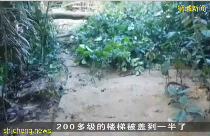 太嚇人了！新加坡被大雨淋到山體滑坡，20年來屬首次
