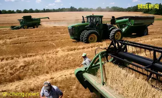 乌俄交战,新加坡表态:支持主权独立完整