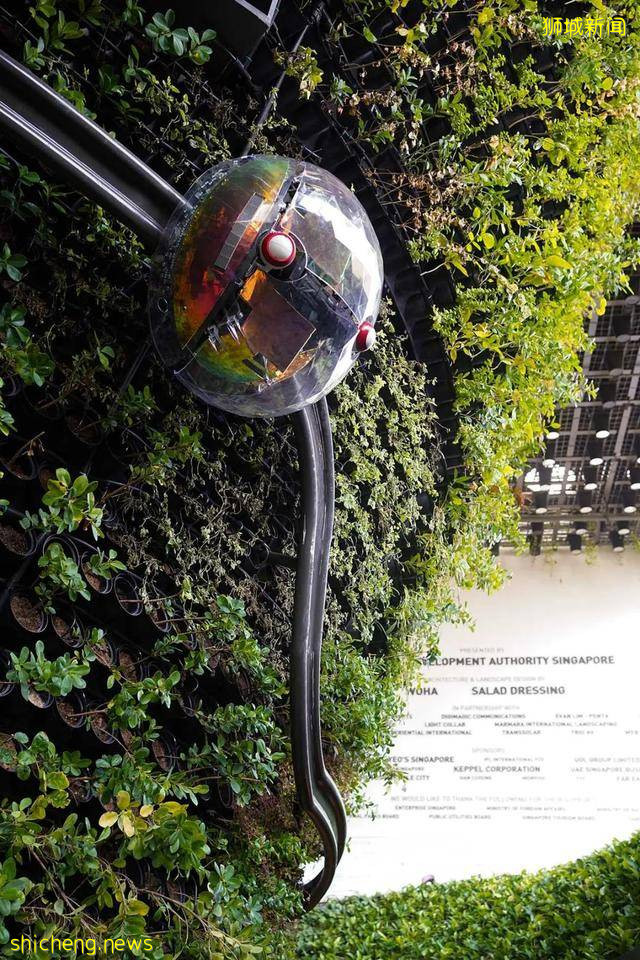 迪拜世博会新加坡展馆：自然之城，展示自然、培育、未来 