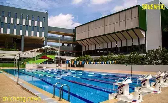 史上最強攻略!在新加坡如何選學校?國際學校vs政府學校,哪個好