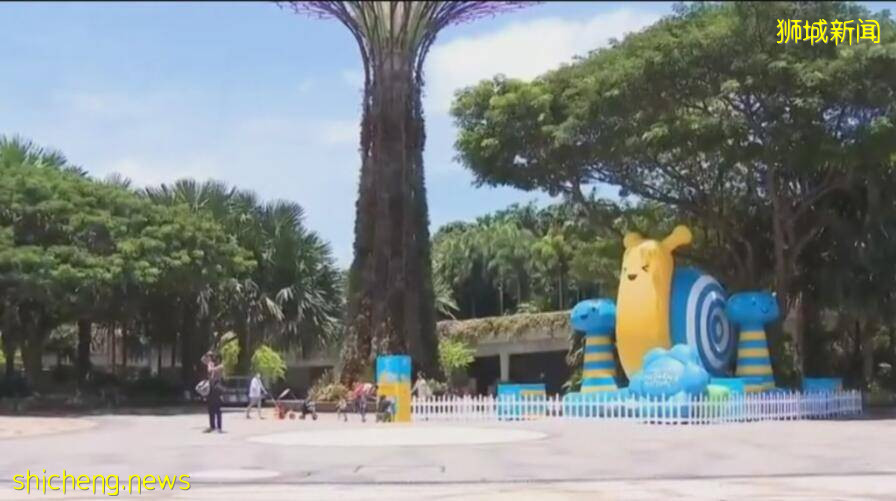 因疫情停办的新加坡遛娃节又来了!疗愈满满!好开森