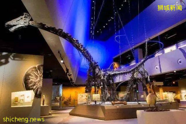 學校假期來了~李顯龍總理親自爲新加坡旅遊打Call，號召國人重新探索新加坡