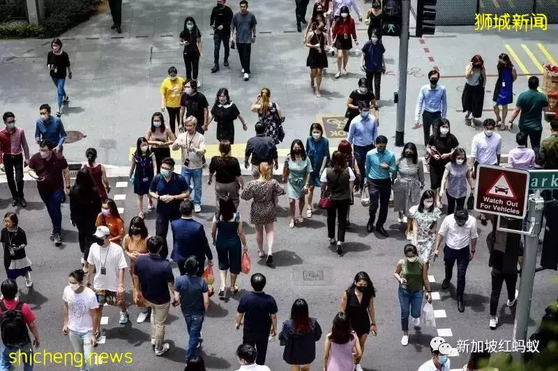 未来两年预计全球经济将衰退,新加坡到时会受到哪些冲击