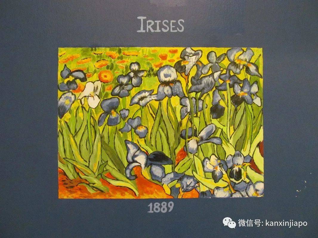 新加坡最美邻里!组屋楼下居然成了梵高画廊