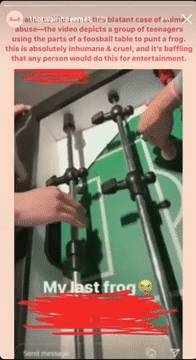 新加坡19岁网红涉嫌虐死青蛙、擅闯犀牛展区,直接被“下狱”