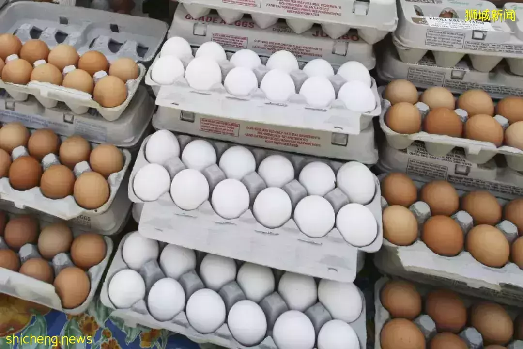 鸡蛋价格飙至50年最高？！货源短缺、新加坡农场出现鸡瘟