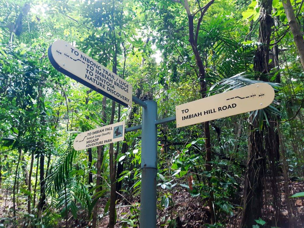 新開辟徒步路線！聖淘沙後花園“Imbiah Trail”沿路亮點🍃 回歸自然，尋覓古迹