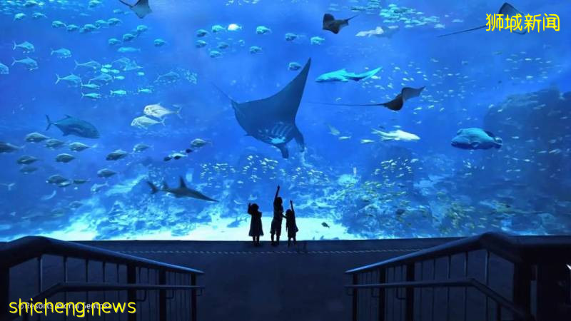 學校假期來了~李顯龍總理親自爲新加坡旅遊打Call，號召國人重新探索新加坡