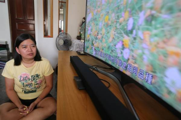 不让视障成为障碍 夫妻俩 盲目相爱 