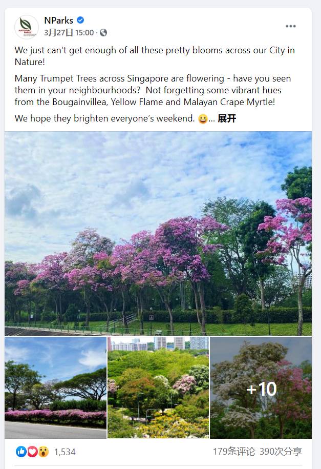 新加坡這些“櫻花公園”火了！$2起限定美食，別讓粉色季節白白溜走啦