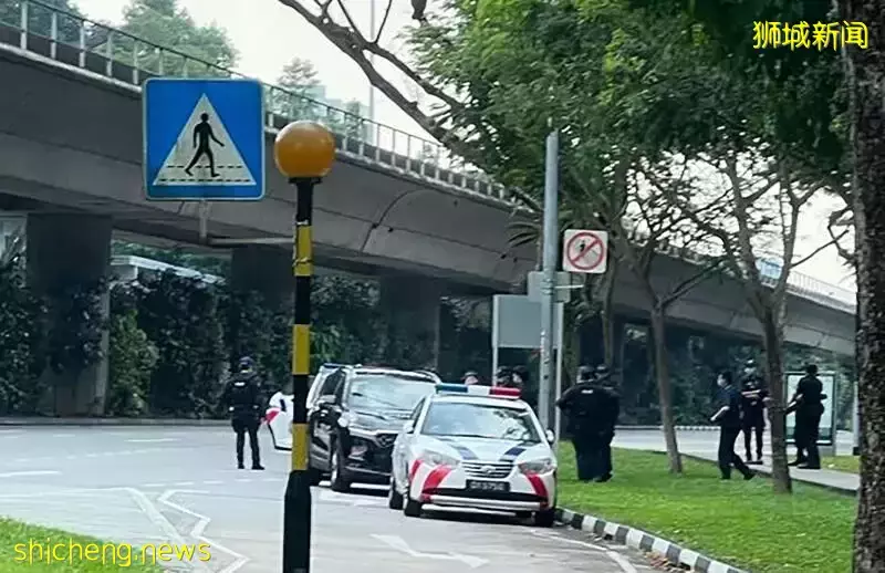 “大阵仗!我在新加坡金文泰看到6辆警车、10多名警察出动”