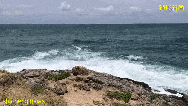 中國媽媽在普吉島陪讀，快樂教育、生活恣意，她爲什麽還要轉戰新加坡