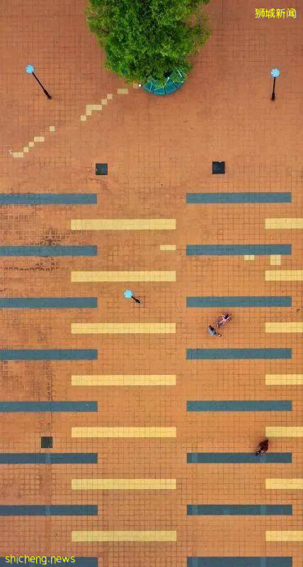 56天病毒阻斷期已過去，這樣空寂的新加坡，你可曾見過嗎!