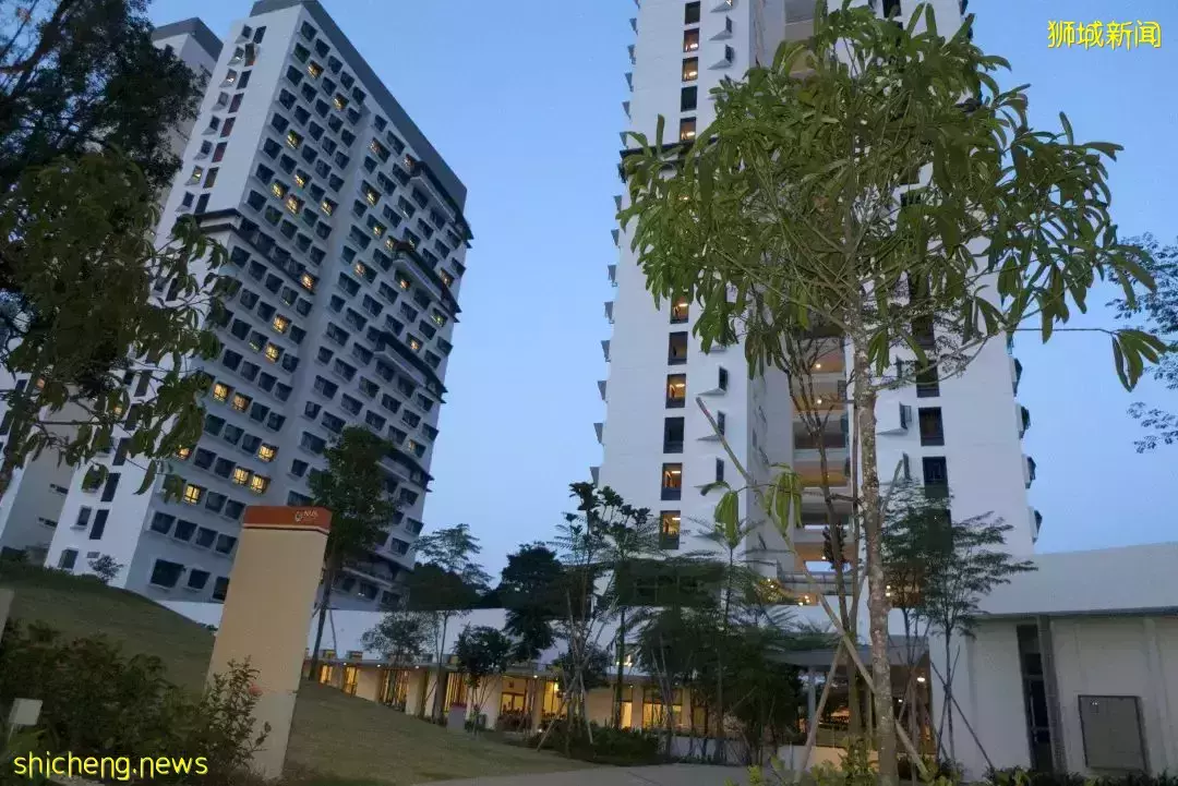 熱議!新加坡國大學生跳樓事件頻發,疫情下的情緒疏導如何做