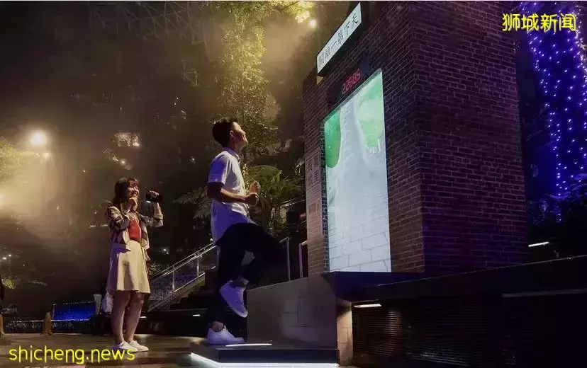 新加坡聖誕好去處,這份節日攻略請查收